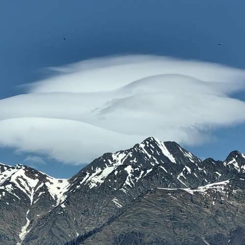 Photo #13750236