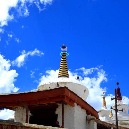 Photo #13750245