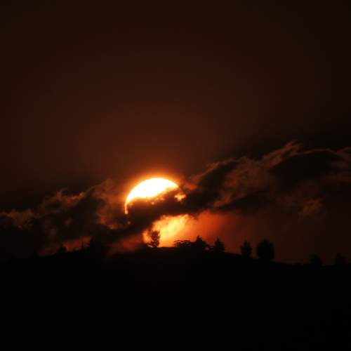 Photo #13750246