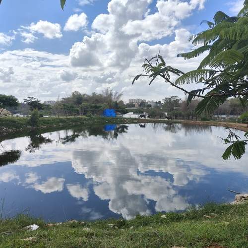 Photo #13750253