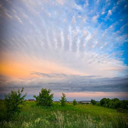 Photo #13750260