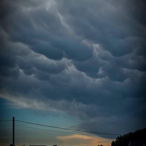 Photo #13750262