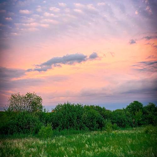 Photo #13750263