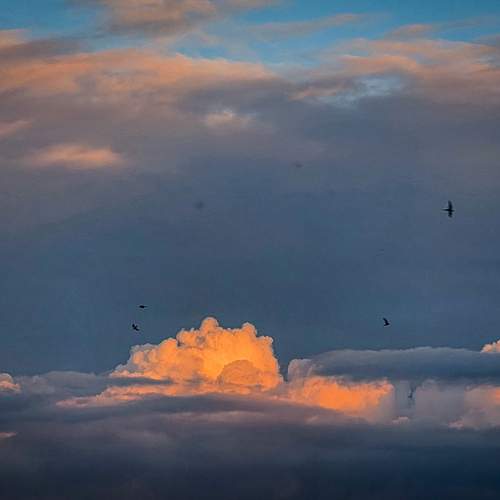 Photo #13750264
