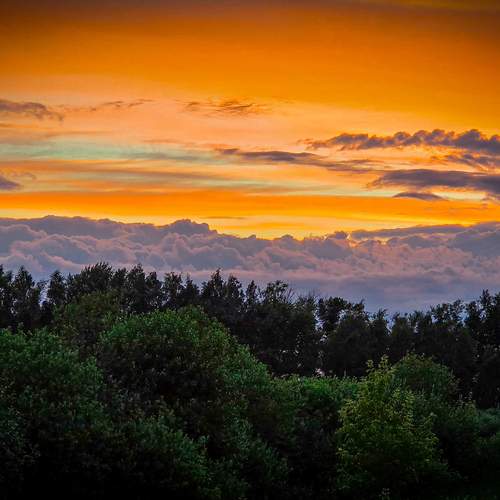 Photo #13750265