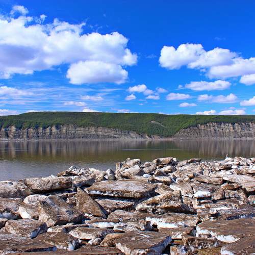 Photo #13750297