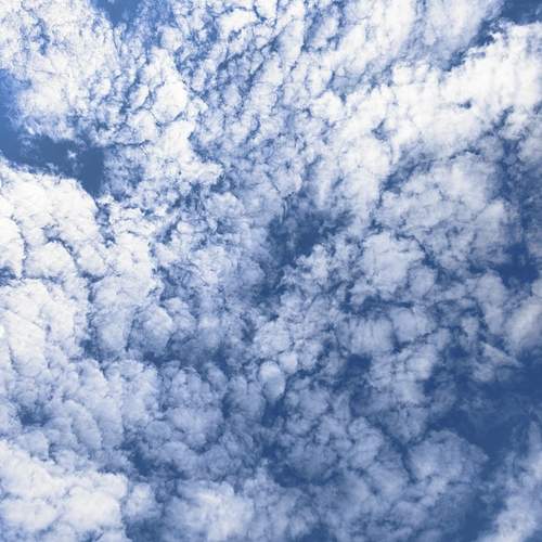Photo #13750331