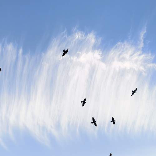 Photo #13750332