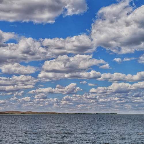 Photo #13750338