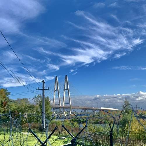 Photo #13750342
