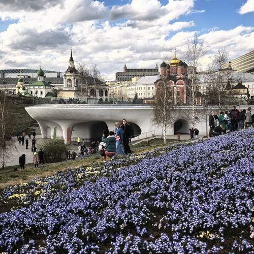 Photo #13750349