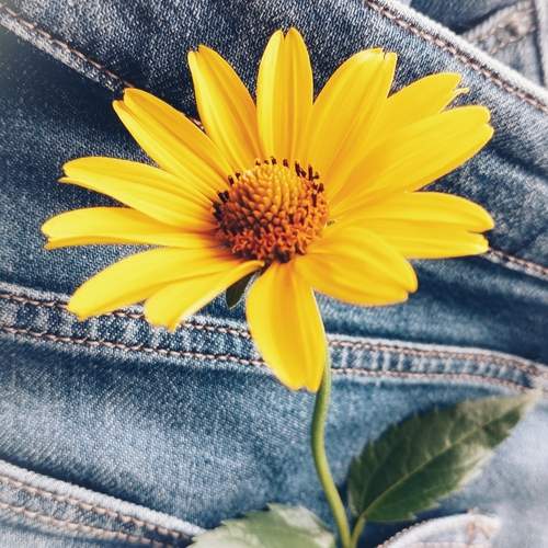 Photo #13750372