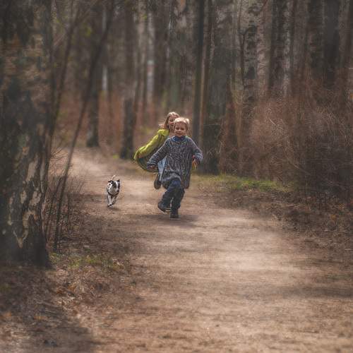 Photo #13750413