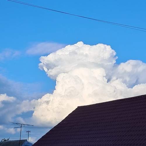 Photo #13750428