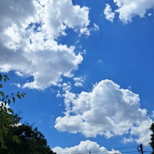 Photo #13750443