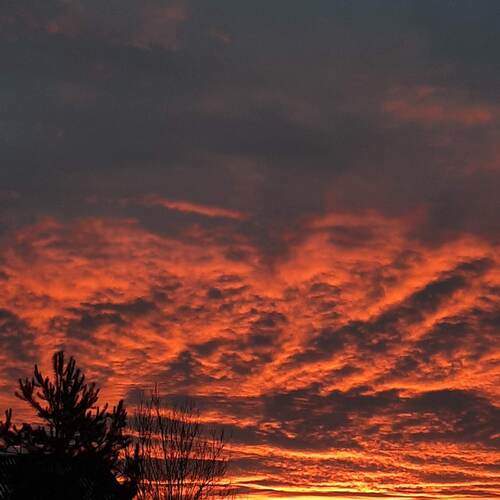 Photo #13750447
