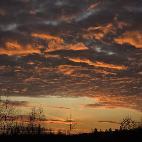 Photo #13750448