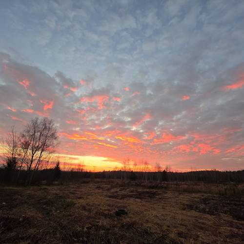Photo #13750450