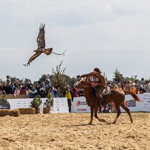 Photo #13750464