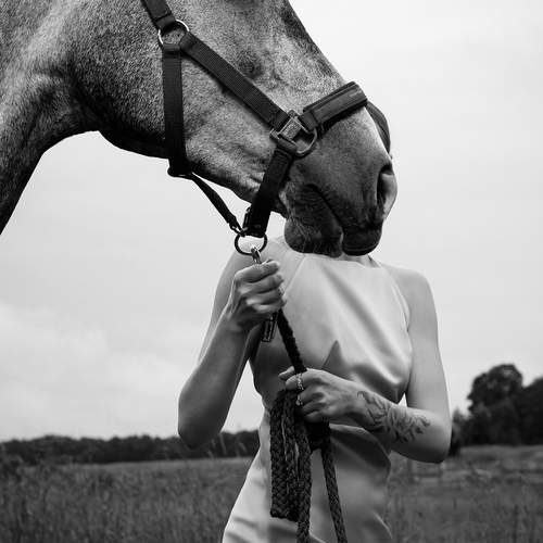Photo #13750499