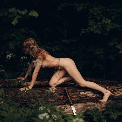 Photo #13750504