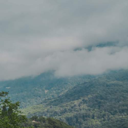 Photo #13750509