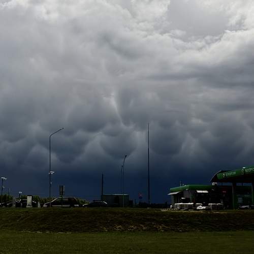 Photo #13750525