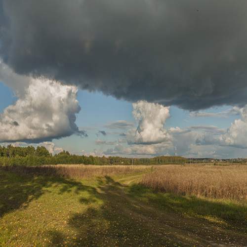 Photo #13750567