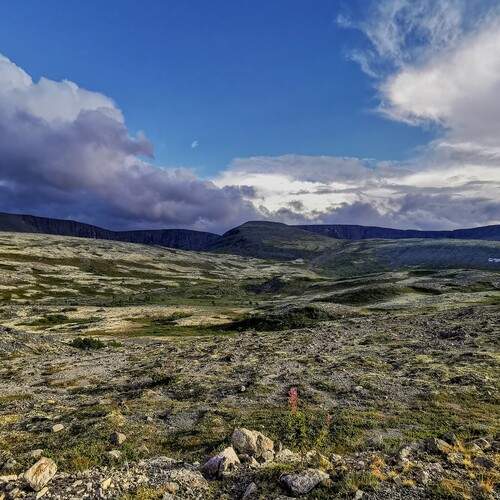 Photo #13750584