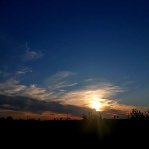 Photo #13750587