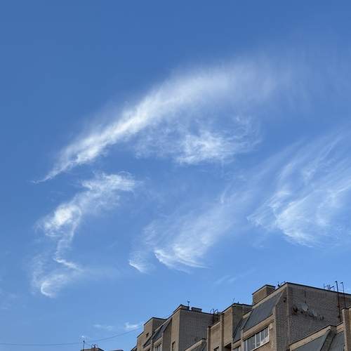 Photo #13750635