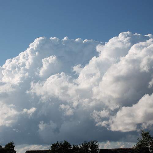 Photo #13750685