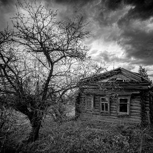 Photo #13750704