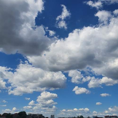 Photo #13750738