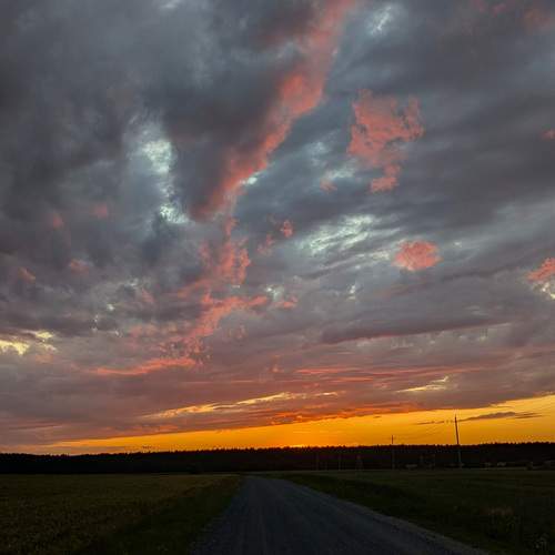 Photo #13750750