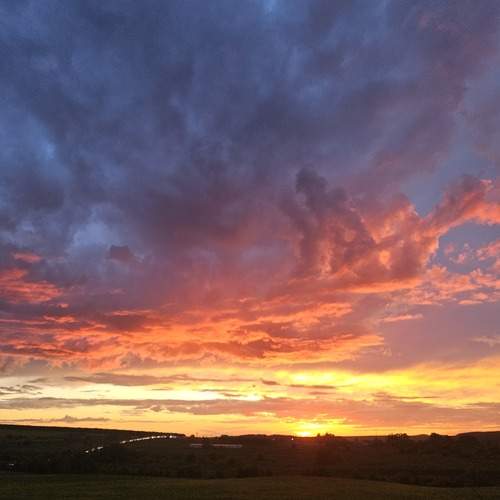 Photo #13750796