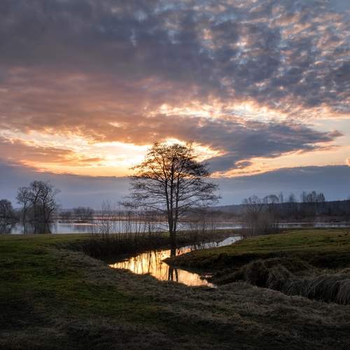 Photo #13750837