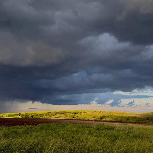 Photo #13750846