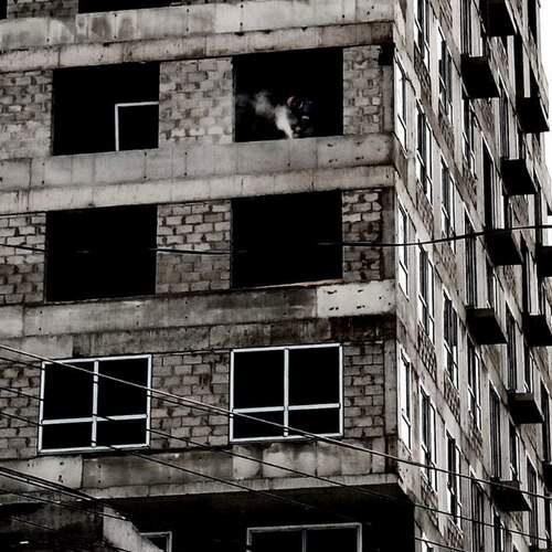 Photo #13750850