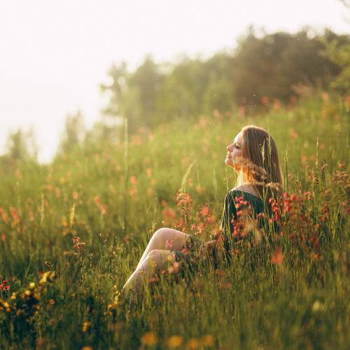 Photo #13750884