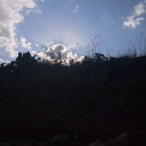 Photo #13750931
