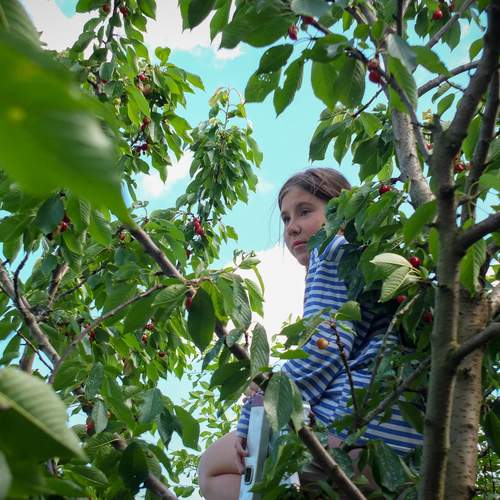 Photo #13750954