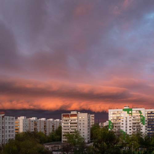 Photo #13750971