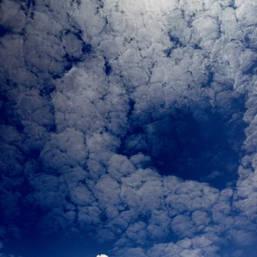 Photo #13750983