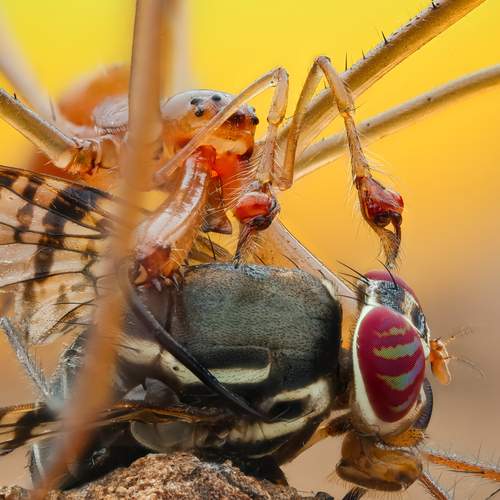 Photo #13750986