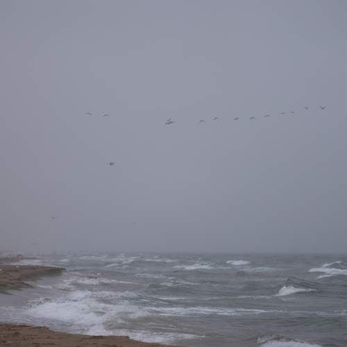 Photo #13751019