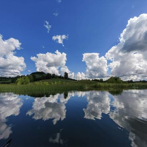 Photo #13751046