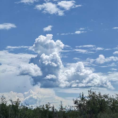 Photo #13751072