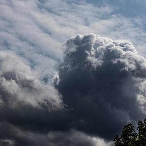 Photo #13751114