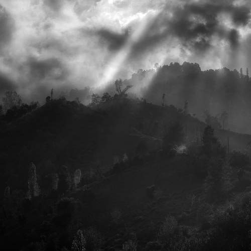 Photo #13751128